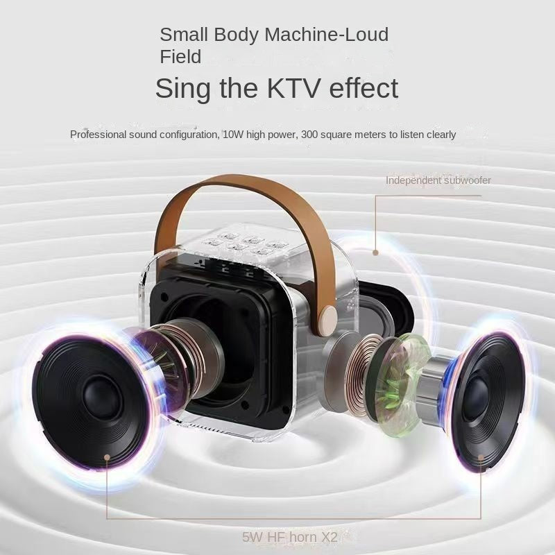Przenośny zestaw karaoke Bluetooth z mikrofonem